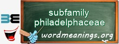 WordMeaning blackboard for subfamily philadelphaceae